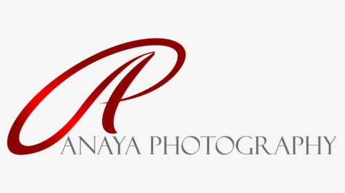 Anaya Photography - @hom Hotel, HD Png Download, Transparent PNG
