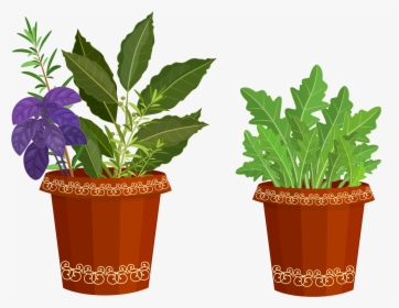 Transparent Potted Plant Png - Potted Plants Clip Art, Png Download, Transparent PNG