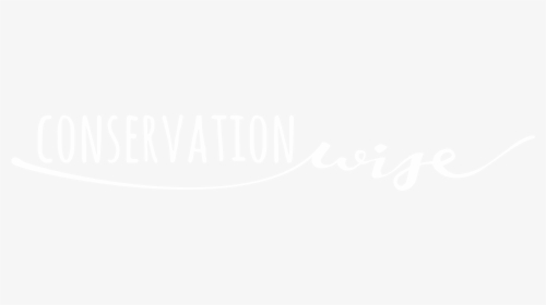 Jp Morgan Logo White, HD Png Download, Transparent PNG