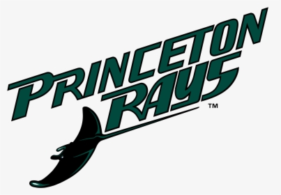 Princeton Devil Rays Logo Png Transparent - Tampa Bay Rays, Png Download, Transparent PNG