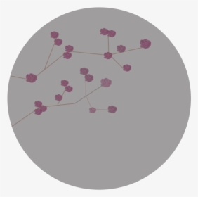 Circle, HD Png Download, Transparent PNG