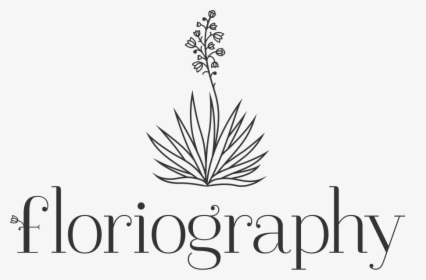 Calligraphy, HD Png Download, Transparent PNG