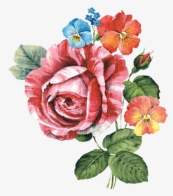 Paint Flower Cliparts - Botanical Flowers Png, Transparent Png, Transparent PNG