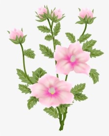 Filing, Painting, Flowers, Painting Art, Paintings - Tree Mallow, HD Png Download, Transparent PNG