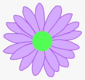 Transparent Lavender Flower Png - Pink Daisy Flower Clipart, Png Download, Transparent PNG
