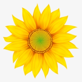 Transparent Daisy Flower Png , Png Download - My Everything Good Morning Texts For Girlfriend, Png Download, Transparent PNG