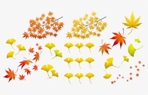 Fall Leaves, Autumn Leaf, Nature, Colorful, Fall, Leaf - Foglie Autunnali Cartone Animato, HD Png Download, Transparent PNG