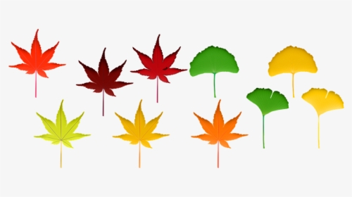 Fall Leaves, Autumn Leaf, Nature, Colorful, Fall, Leaf - 紅葉 グラデーション イラスト, HD Png Download, Transparent PNG