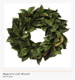 Magnolia Leaf Wreath, HD Png Download, Transparent PNG