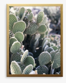 Cali Cactus Art Print - Prickly Pear, HD Png Download, Transparent PNG