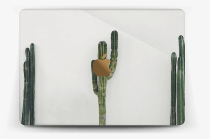 Mexican Cactus Skin Macbook 12” - Apple Macbook Pro, HD Png Download, Transparent PNG