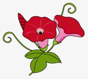 Download Morning Glory Clipart Japanese Morning Glory, HD Png Download, Transparent PNG