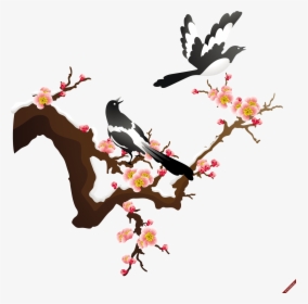 Japanese Apricot Flower Vector , Png Download, Transparent Png, Transparent PNG