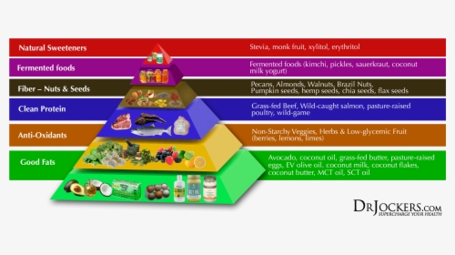 Anemia, 13 Ways To Heal Anemia Naturally - Dr Jockers Food Pyramid, HD Png Download, Transparent PNG