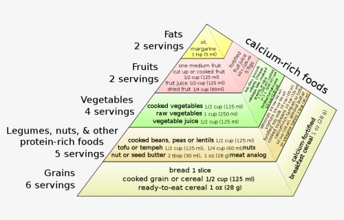 Vegan Food Pyramid - Weaning Food Related Chart, HD Png Download, Transparent PNG
