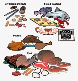 Pictures Of The Food Pyramid, Basic Food Groups, Nutrition - Fish Shellfish Meat And Poultry Dried Beans, HD Png Download, Transparent PNG