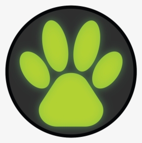 Miraculous Cat Noir Logo , Png Download - Miraculous Ladybug, Transparent Png, Transparent PNG