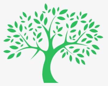 Tree Graphic Transparent Background, HD Png Download, Transparent PNG