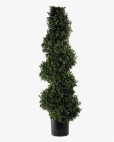 Transparent Topiary Png - Hedge, Png Download, Transparent PNG