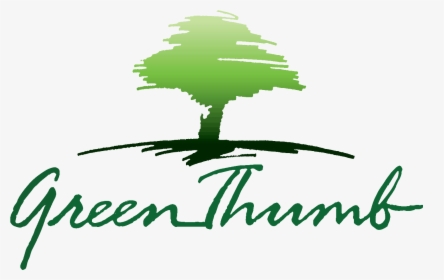 Green Tree Logo Png - Tree Logo Clipart, Transparent Png, Transparent PNG