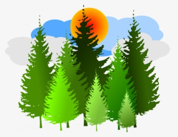 Forest Clipart Free Spruce Forest Conifer Free Vector - Pine Forest Clip Art, HD Png Download, Transparent PNG