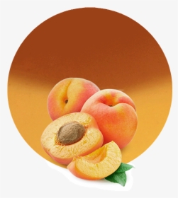 Apricot Fruit In Nepali, HD Png Download, Transparent PNG