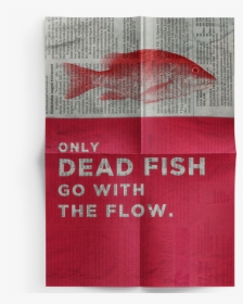 Fish Photoshop Quotes Fish Poster - Poster, HD Png Download, Transparent PNG