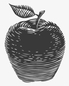 Apple Basket Png - Apple Sketch Png, Transparent Png, Transparent PNG