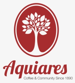 Aquarius Zodiac Sign 2019 - America's Miss Agribusiness, HD Png Download, Transparent PNG