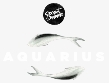 Sustainable Seafood , Png Download - Grey Whale, Transparent Png, Transparent PNG