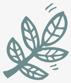 Nature Icon Paw-destrian - Insect, HD Png Download, Transparent PNG