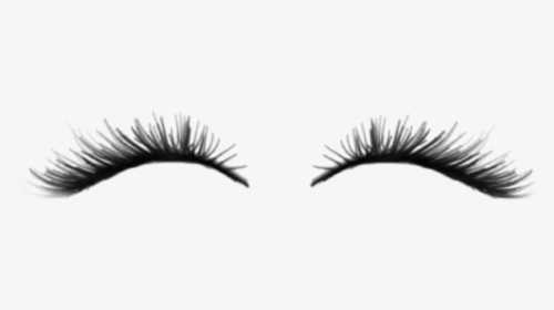 #eyelash #eyelashes #eye #eyes #zepeto #zpt #zepetoeyelashes - Eyelash Extensions, HD Png Download, Transparent PNG