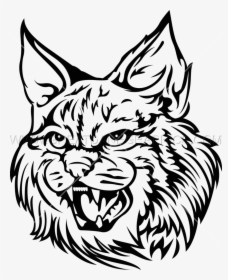Wild Cat Png - Transparent Wildcat On Black And White, Png Download, Transparent PNG