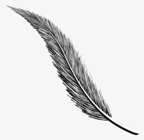 Art Project Diary Working - Feather Design For Project, HD Png Download, Transparent PNG