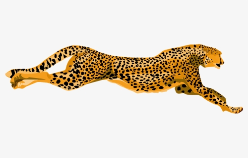 Cheetah, Wildcat, Fast, Speed, Spotted, Color, Wildlife - Cheetahs Clipart, HD Png Download, Transparent PNG