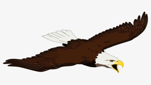 Bald Eagle Bird Beak Clip Art - Transparent Bald Eagle Art, HD Png Download, Transparent PNG