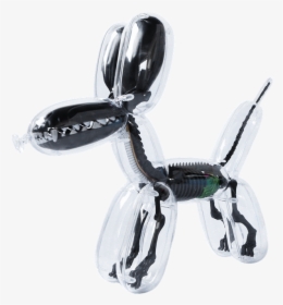 Image - Balloon Dog Anatomy By Jason Freeny, HD Png Download, Transparent PNG