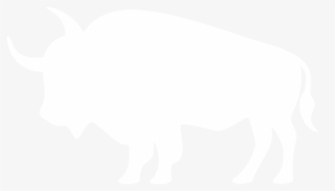 Buffalo Clip Silhouette - Black Outline Of A Tiger, HD Png Download, Transparent PNG