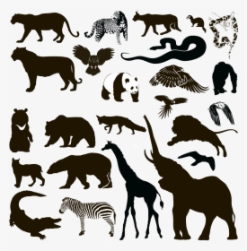Silhouette Animal Wildlife - Wild Animal Silhouettes Free, HD Png Download, Transparent PNG