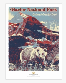 Glacier National Park Prints - Kodiak Bear, HD Png Download, Transparent PNG