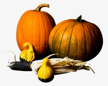 Pumpkin Gourds Stock Image - Pumpkin, HD Png Download, Transparent PNG