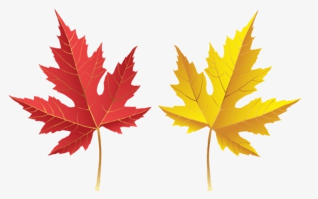 Download Leves Clipart Png Transparent Background - Leves Png, Png Download, Transparent PNG