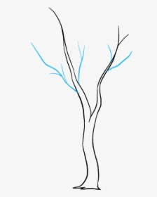 How To Draw Fall Tree - Drawing, HD Png Download, Transparent PNG