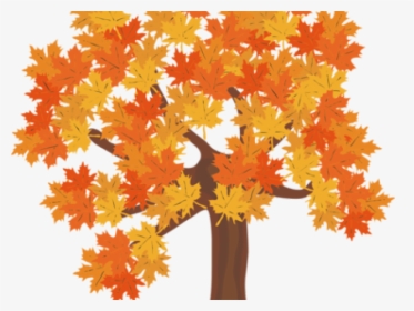 Fall Trees Clipart - Fall Tree Transparent Background, HD Png Download, Transparent PNG