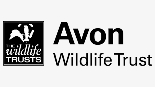 Home - Avon Wildlife Trust Logo, HD Png Download, Transparent PNG