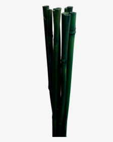 Bamboo Sticks X - Vase, HD Png Download, Transparent PNG