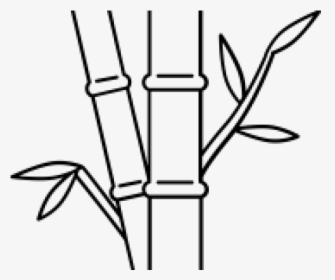 Drawn Bamboo Bamboo Stick - Line Art, HD Png Download, Transparent PNG