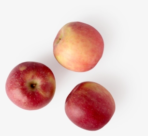 Pluot, HD Png Download, Transparent PNG