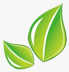 #leaf #hoja #green #png, Transparent Png, Transparent PNG