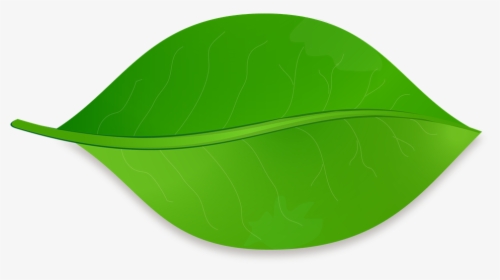 Leaf, Nature, Tree, Plant, Natural, Green - Vector Image Of A Leaf, HD Png Download, Transparent PNG